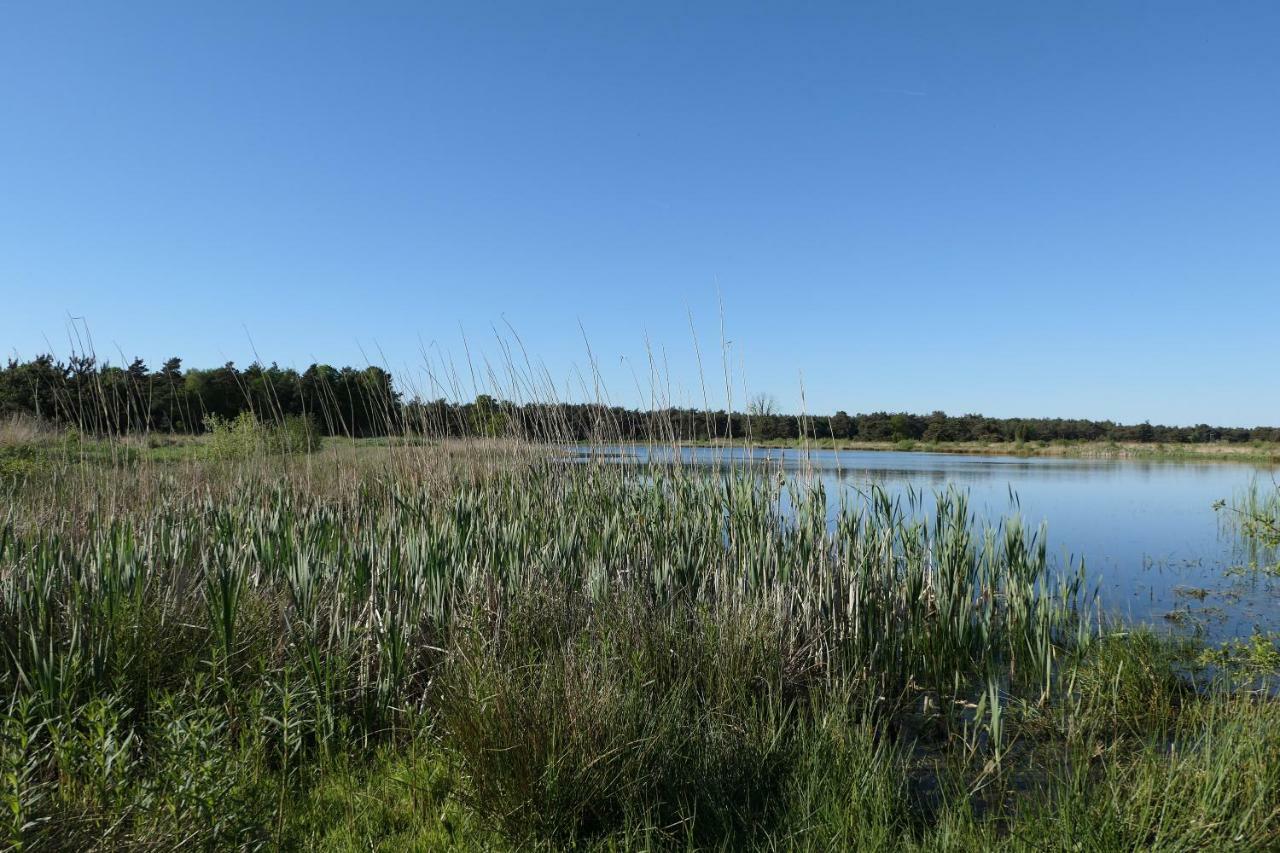 Erve Eshuus Daarle Villa Kültér fotó